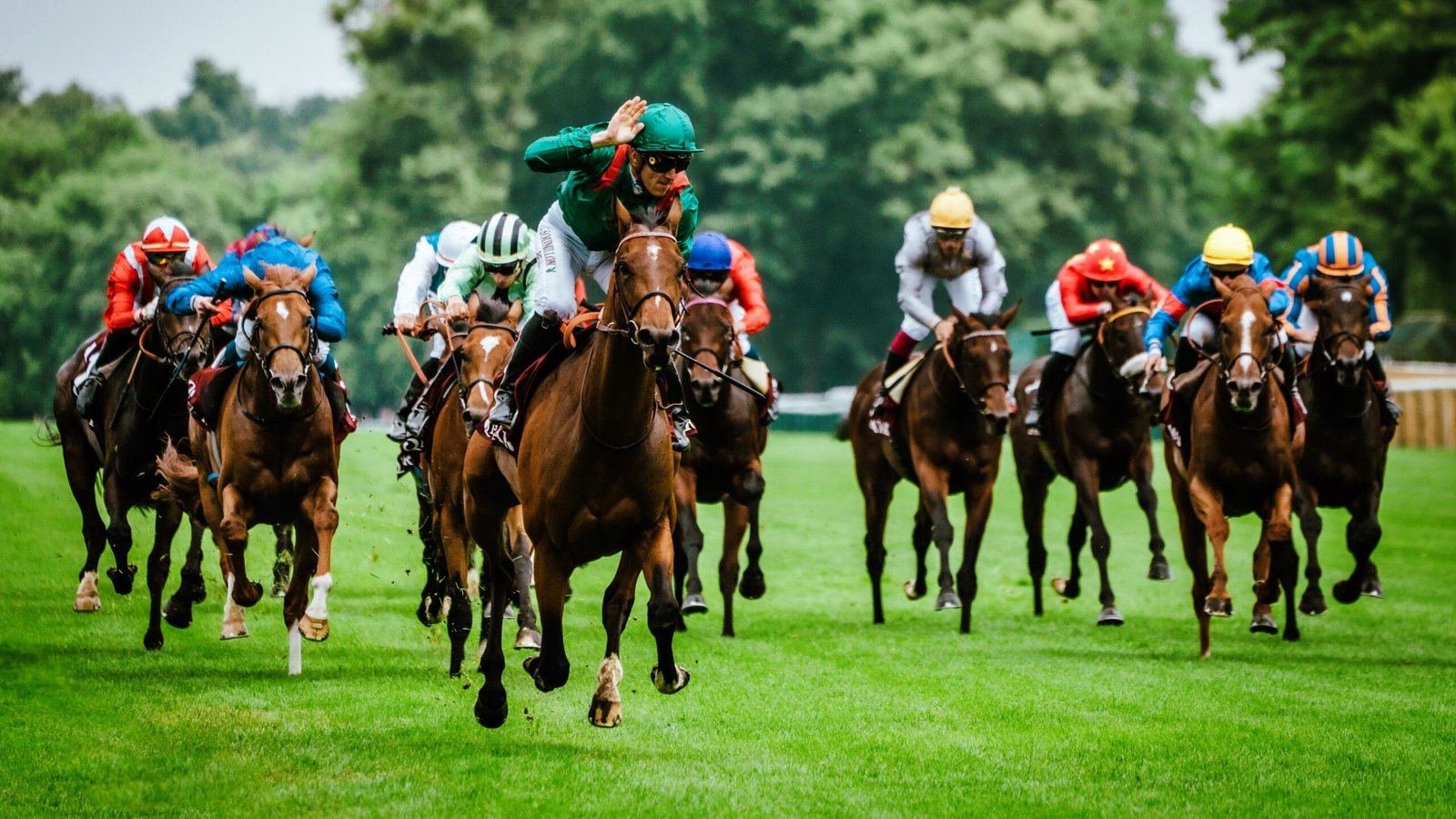 Résultats PMU Mali, programme et pronostics du jour
